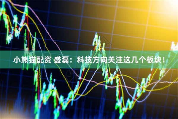 小熊猫配资 盛磊：科技方向关注这几个板块！