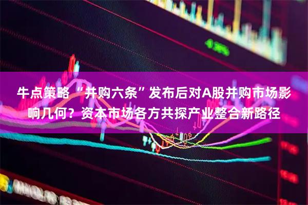 牛点策略 “并购六条”发布后对A股并购市场影响几何？资本市场各方共探产业整合新路径